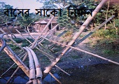 সমাজসেবা