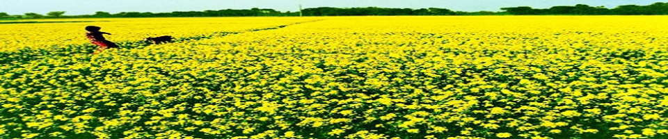 উরিয়া ইউনিয়নের নদীর তীর 4