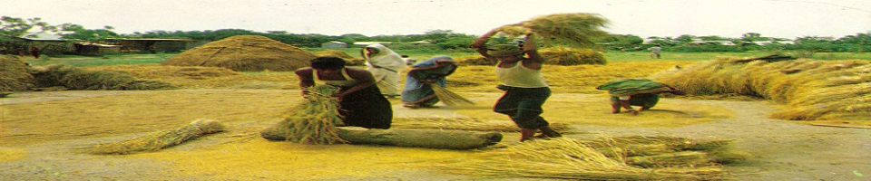 উরিয়া ইউনিয়নের নদীর তীর 5