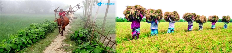 উরফা কৃষি