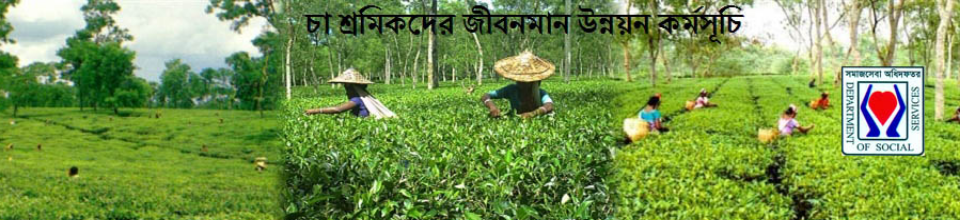 চা-শ্রমিকদের জীবনমান উন্নয়ন কর্মসূচি