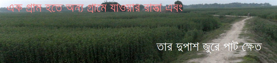 পাট ক্ষেত ও রাস্তা