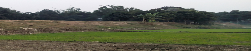 নর্থচ্যানেলর সবুজের সমারহ