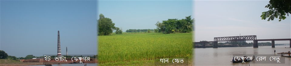 মনোরম দৃশ্য