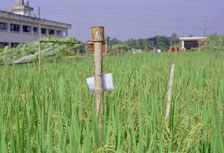 কৃষি ও প্রাণিসম্পদ