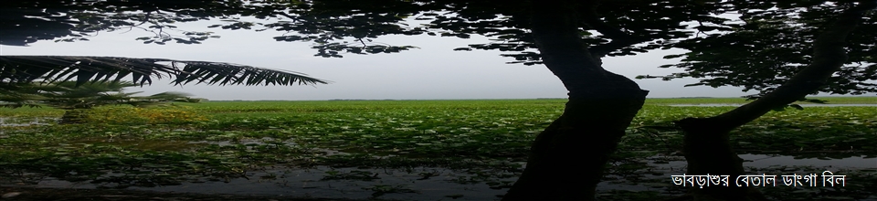 ভাবড়াশুর বেতাল ডাংগা বিল