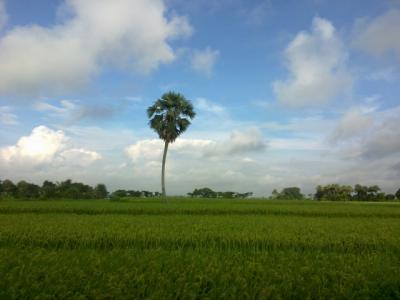 গ্রাম বাংলা