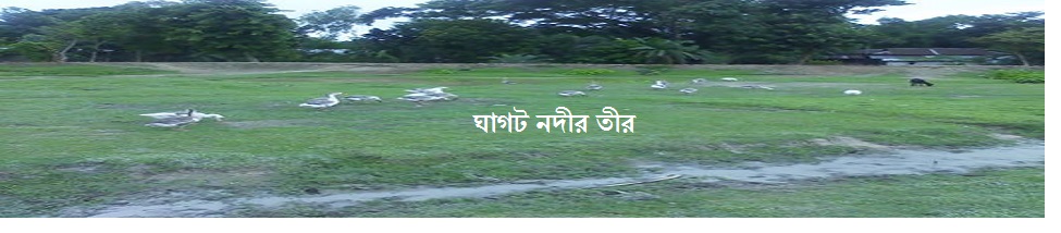 ঘাগট নদীর পাড়