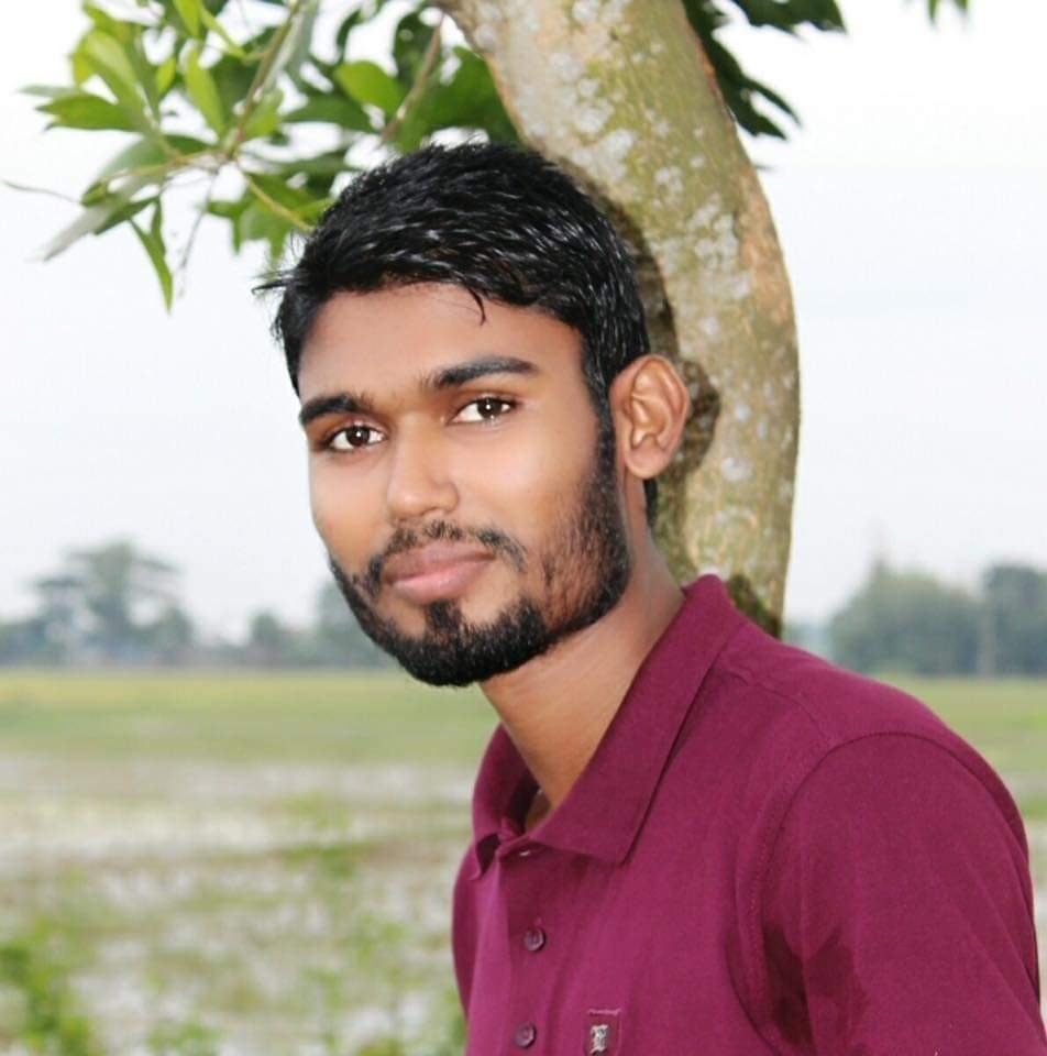 মোঃ আল মামুন