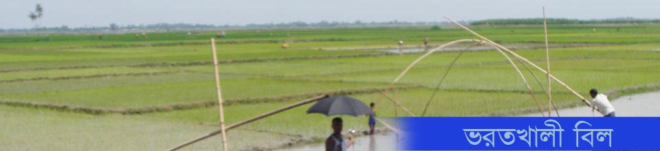 ভরতখালী বিল