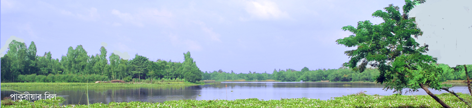 পাকুরীয়ার বিল