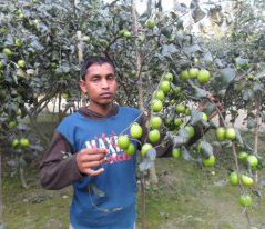 অন্যান্য