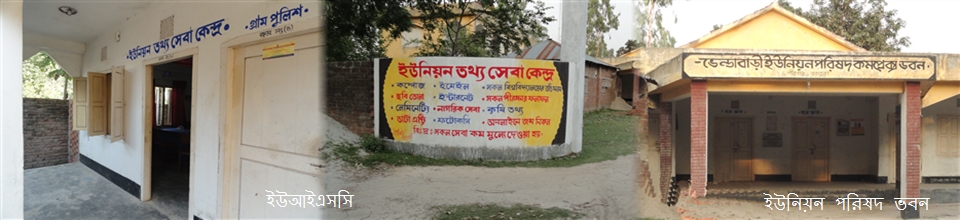 ইউনিয়ন ডিজিটাল সেন্টার-ইউপি ভবন