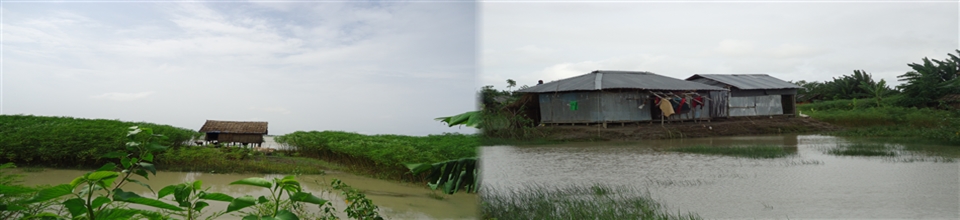 ব্যানার নম্বর-৮