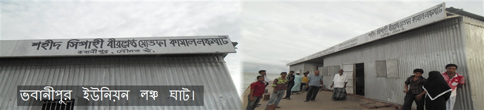 ভবানীপুর ইউনিয়ন 6