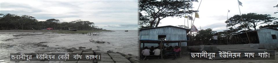 ভবানীপুর ইউনিয়ন 2