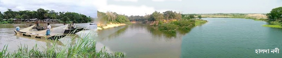 ব্যানার