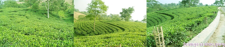 ব্যানার