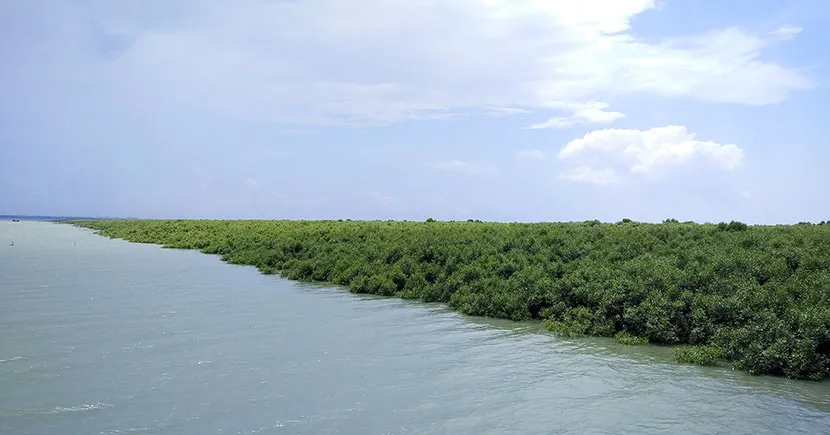 ব্যানার