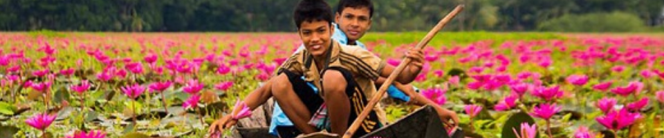 সাতলা শাপলার বিল