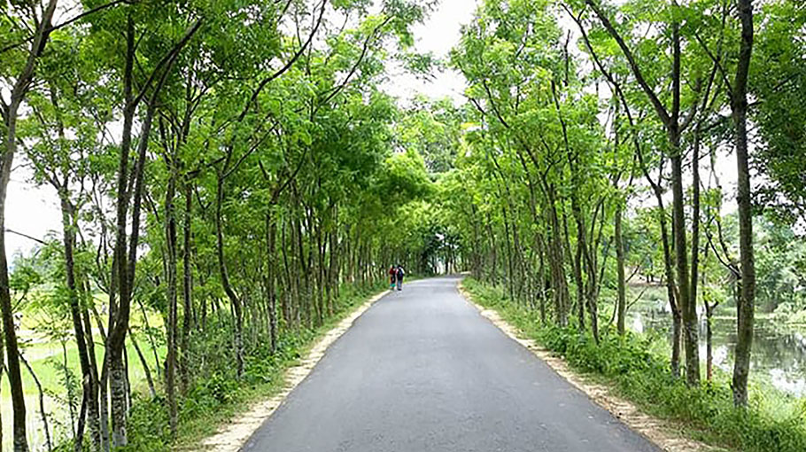 ব্যানার
