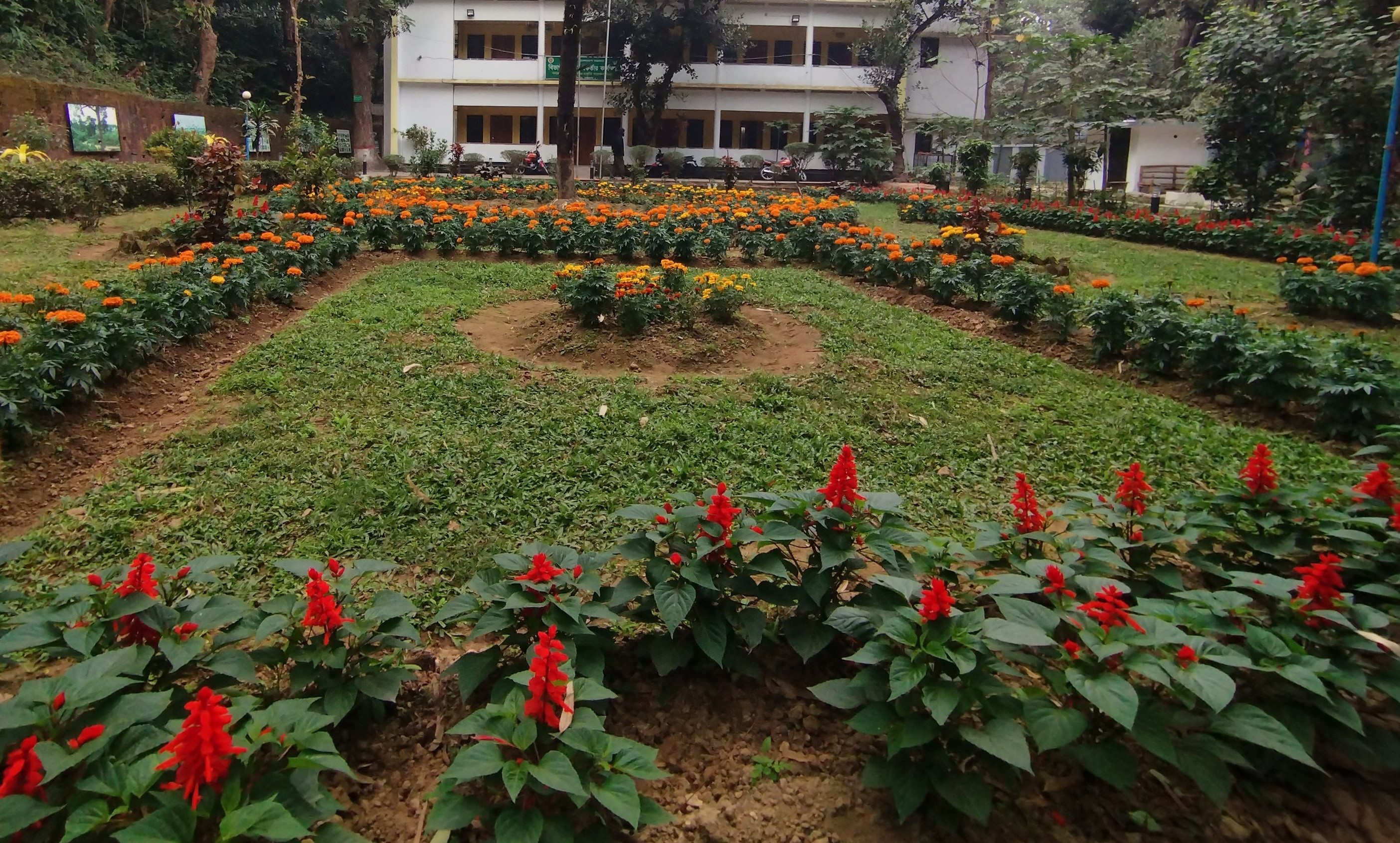 অফিস এর সামনের দৃশ্যপট