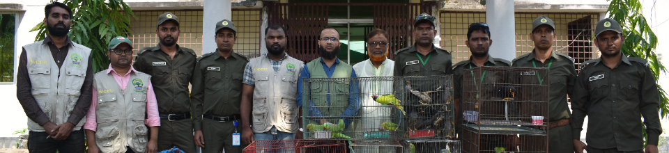 বন্যপ্রাণী উদ্ধার অভিযান