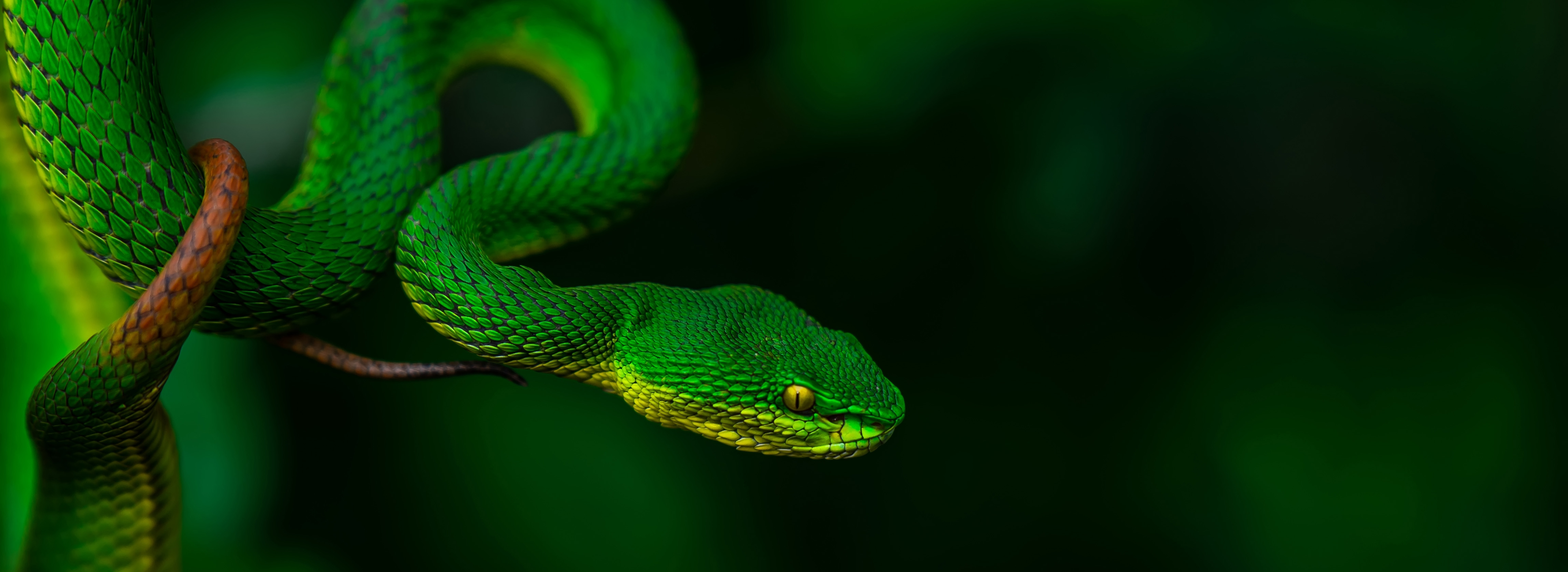 ব্যানার-৬