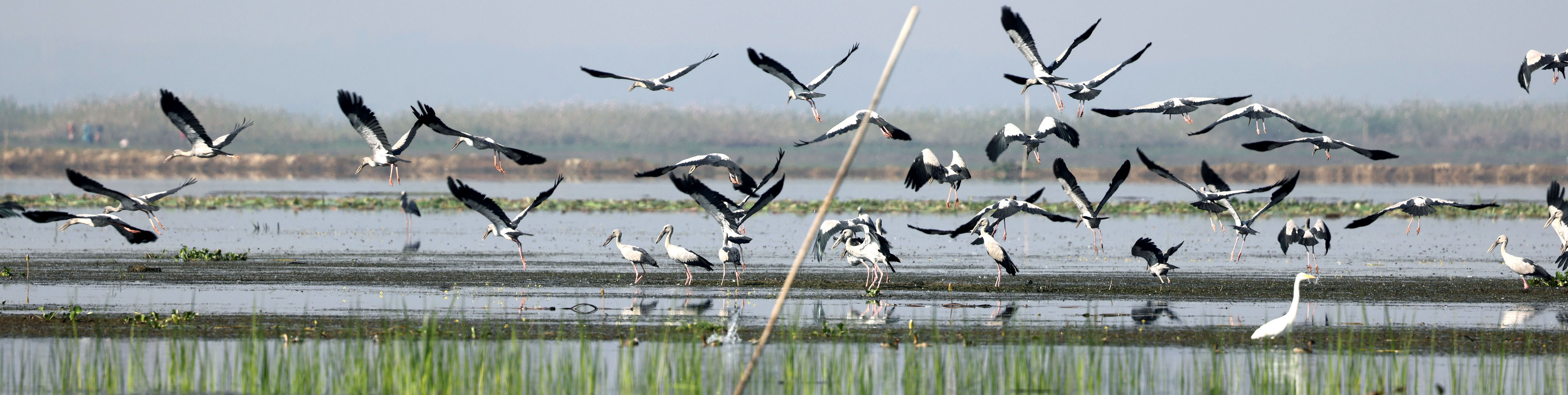 ব্যানার-৩