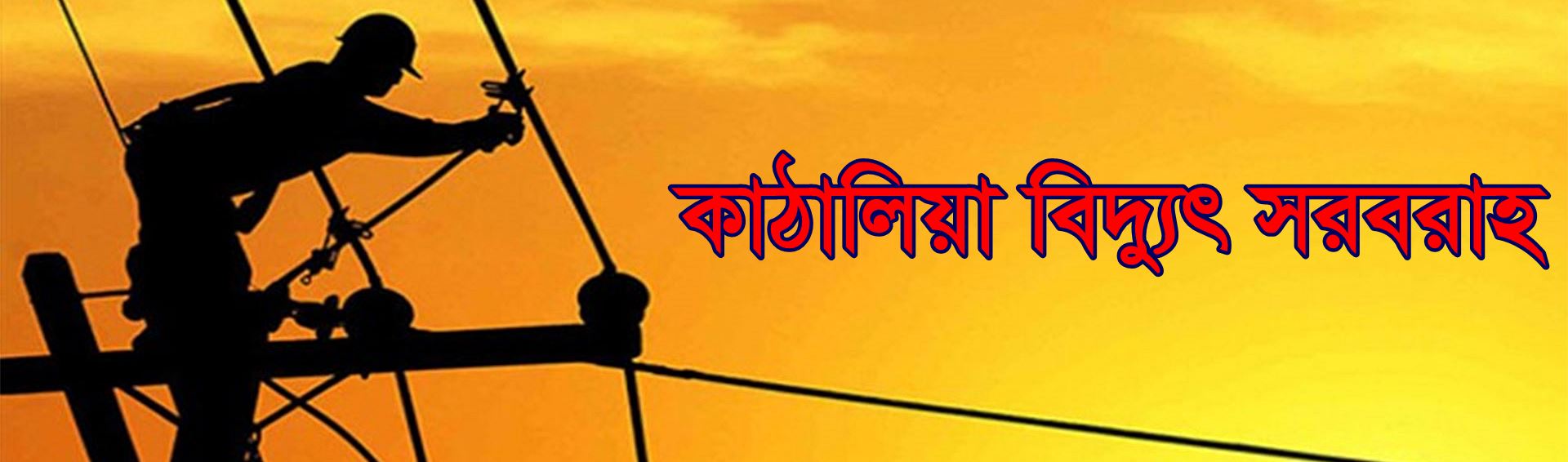 কাঠালিয়া বিদ্যুৎ সরবরাহ