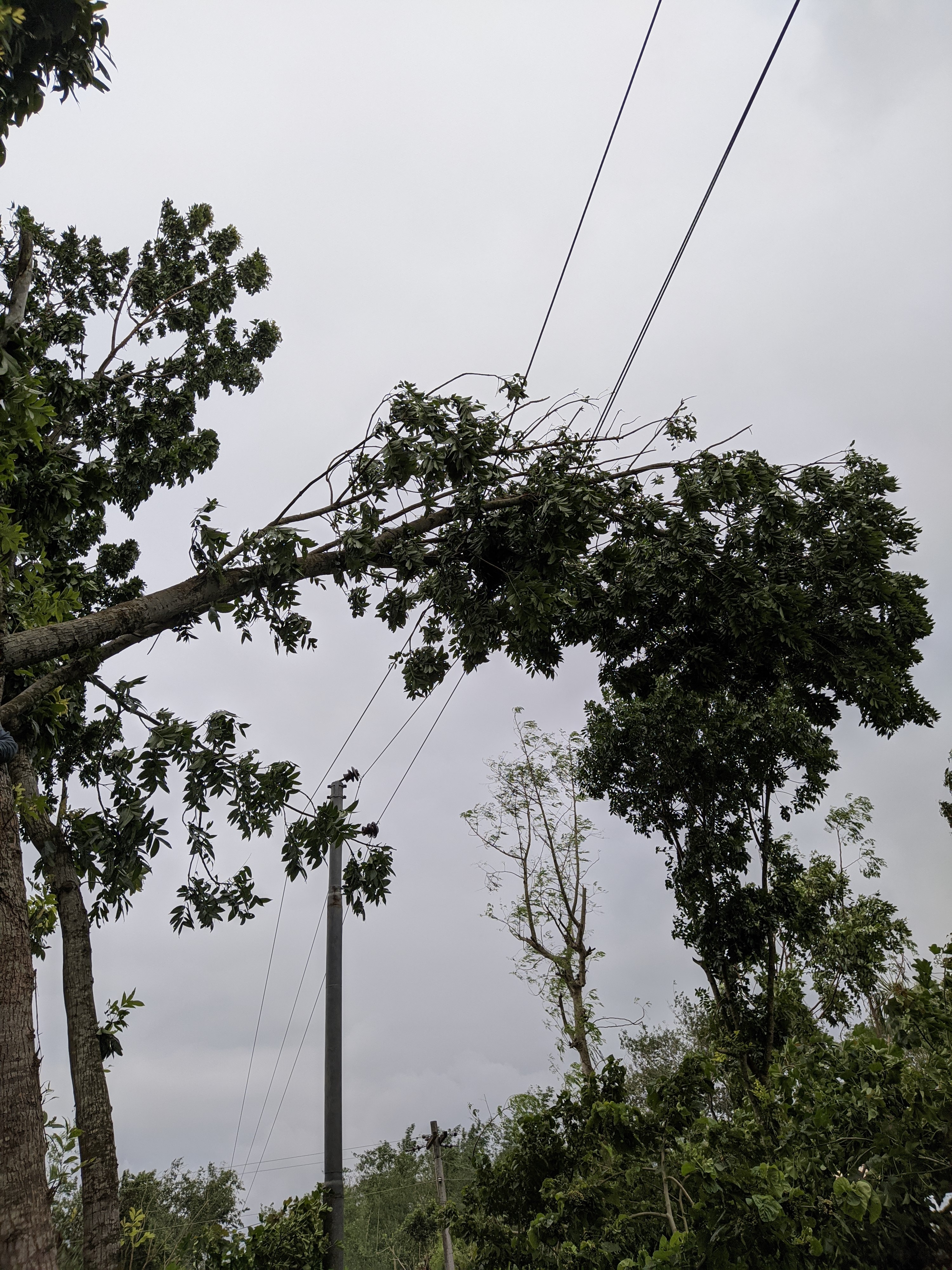 আম্পান ঝড়ে ক্ষতিগ্রস্থ লাইন