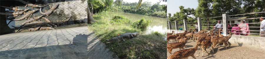 সুন্দরবন