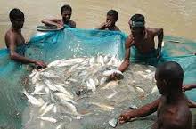 যুব উন্নয়ন 