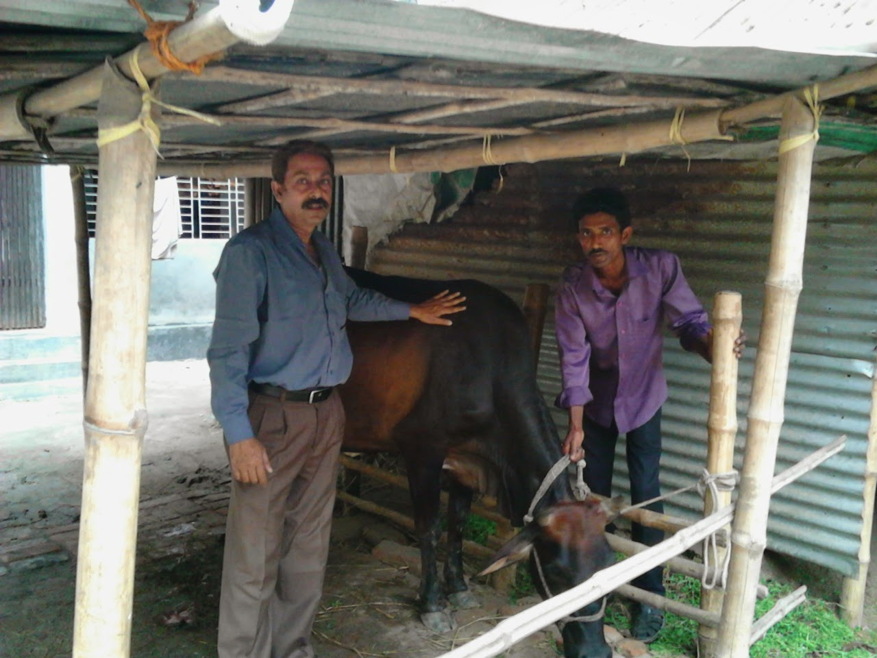 যুব কার্যক্রম