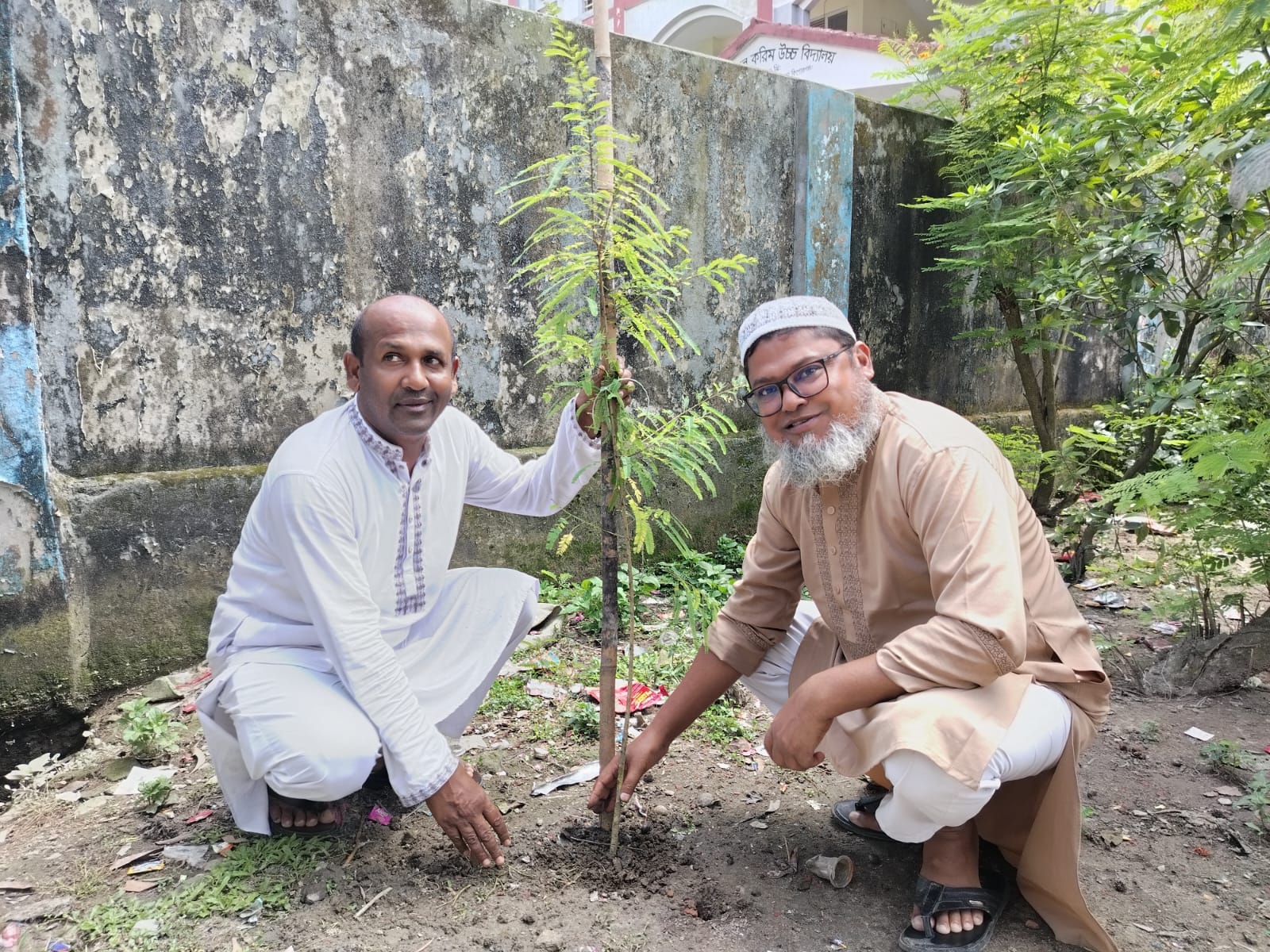 বৃক্ষরোপন কর্মসূচি