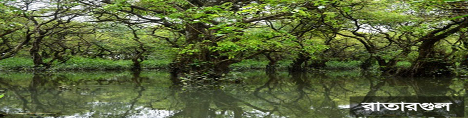 রাতারগুল ব্যনার