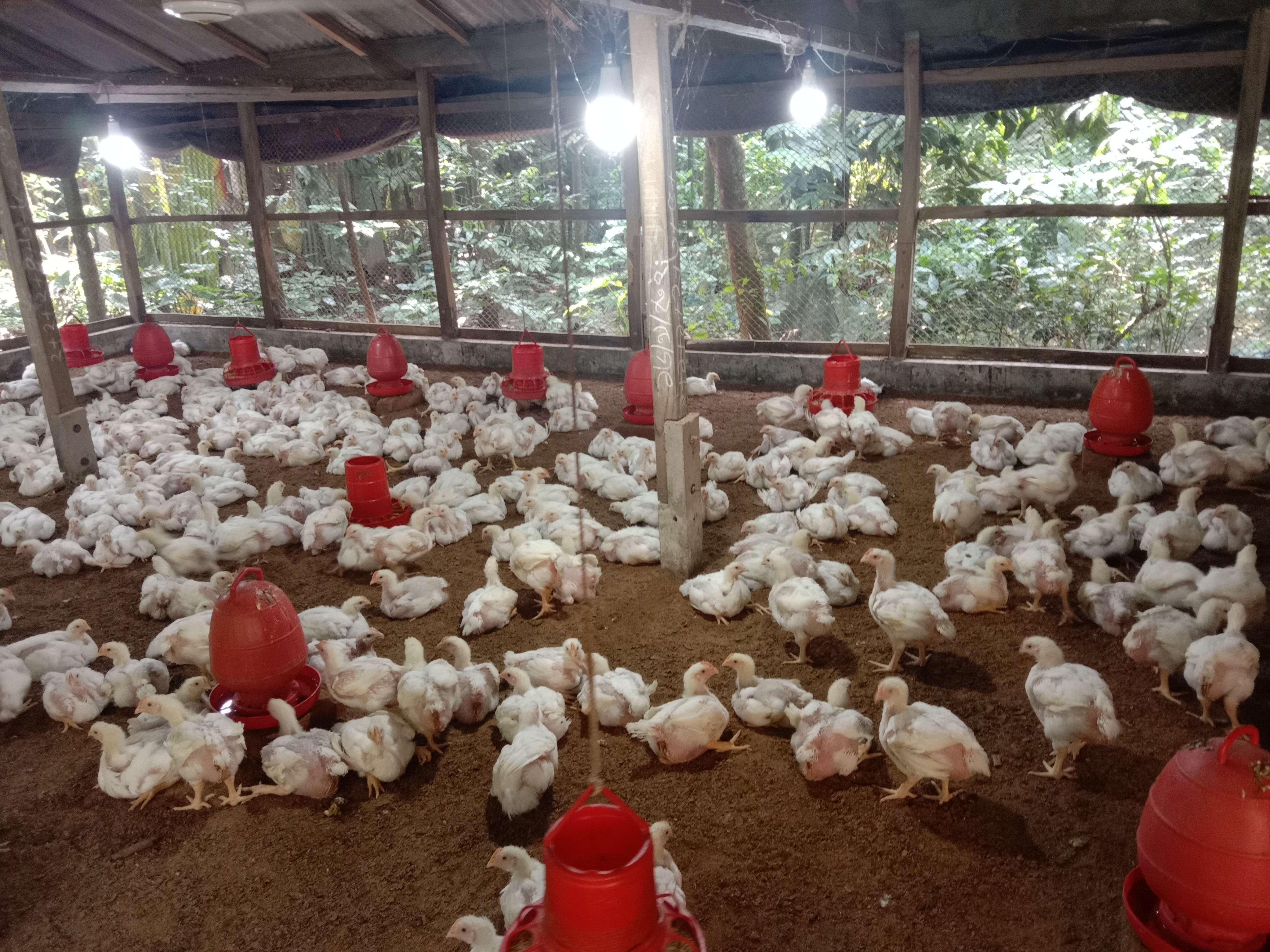 আত্মকমী্র খামার