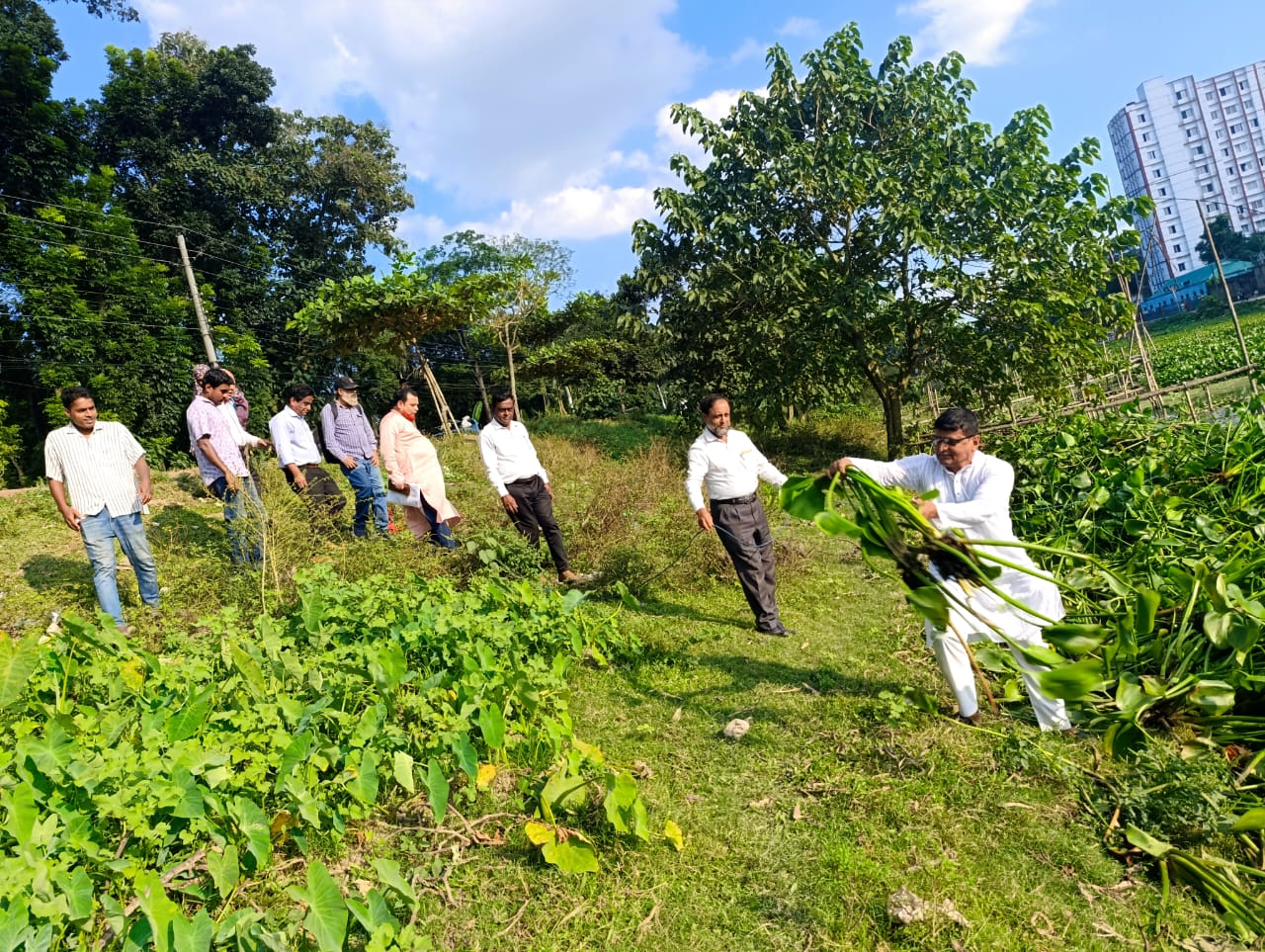 উপজেলা যুব উন্নয়ন কর্মকর্তার কাযালয়, হোসেনপুর, কিশোরগঞ্জ