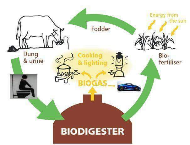 ইমপ্যাক্ট ফেজ-২