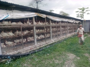 যুব কার্যক্রমের ছবি