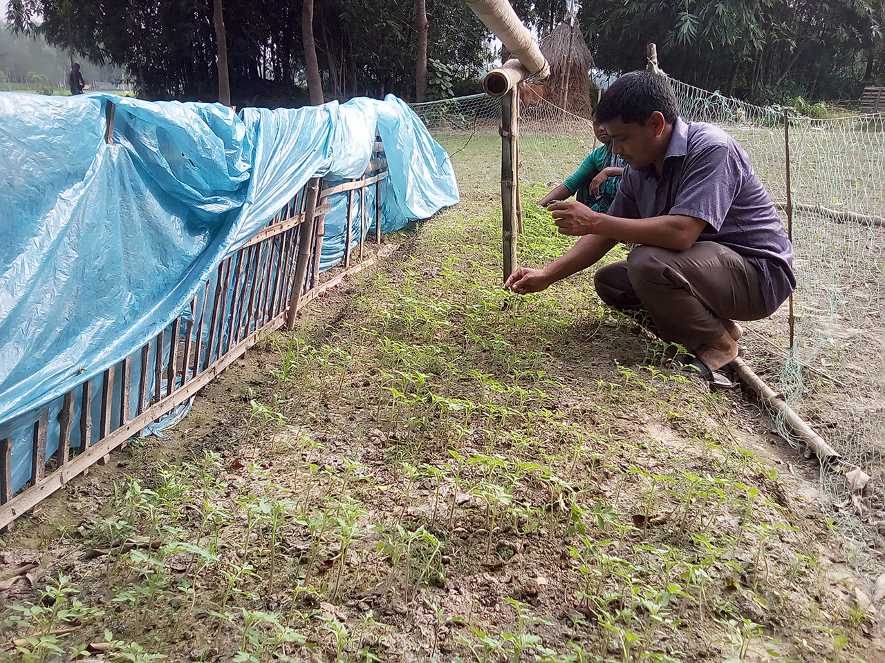 বেকার যুবদের প্রকল্প