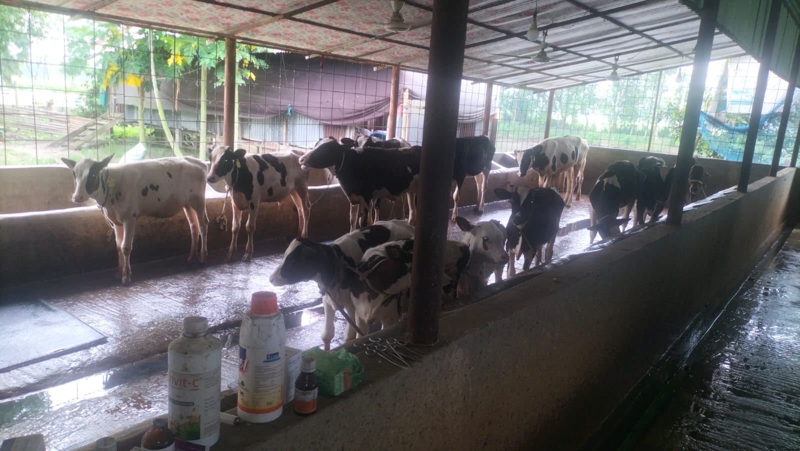 বায়েগ্যাস প্লান্ট এর কার্যক্রম