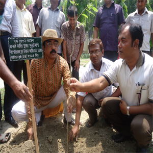 যুব উন্নয়ন অধিদপ্তরের মহাপরিচালক জনাব অশিত কুমার মুকুট মনি যুব প্রশিক্ষণ কেন্দ্রে গাছের চারা রোপন করছেন। সংগে আছেন উপ পরিচালক ।