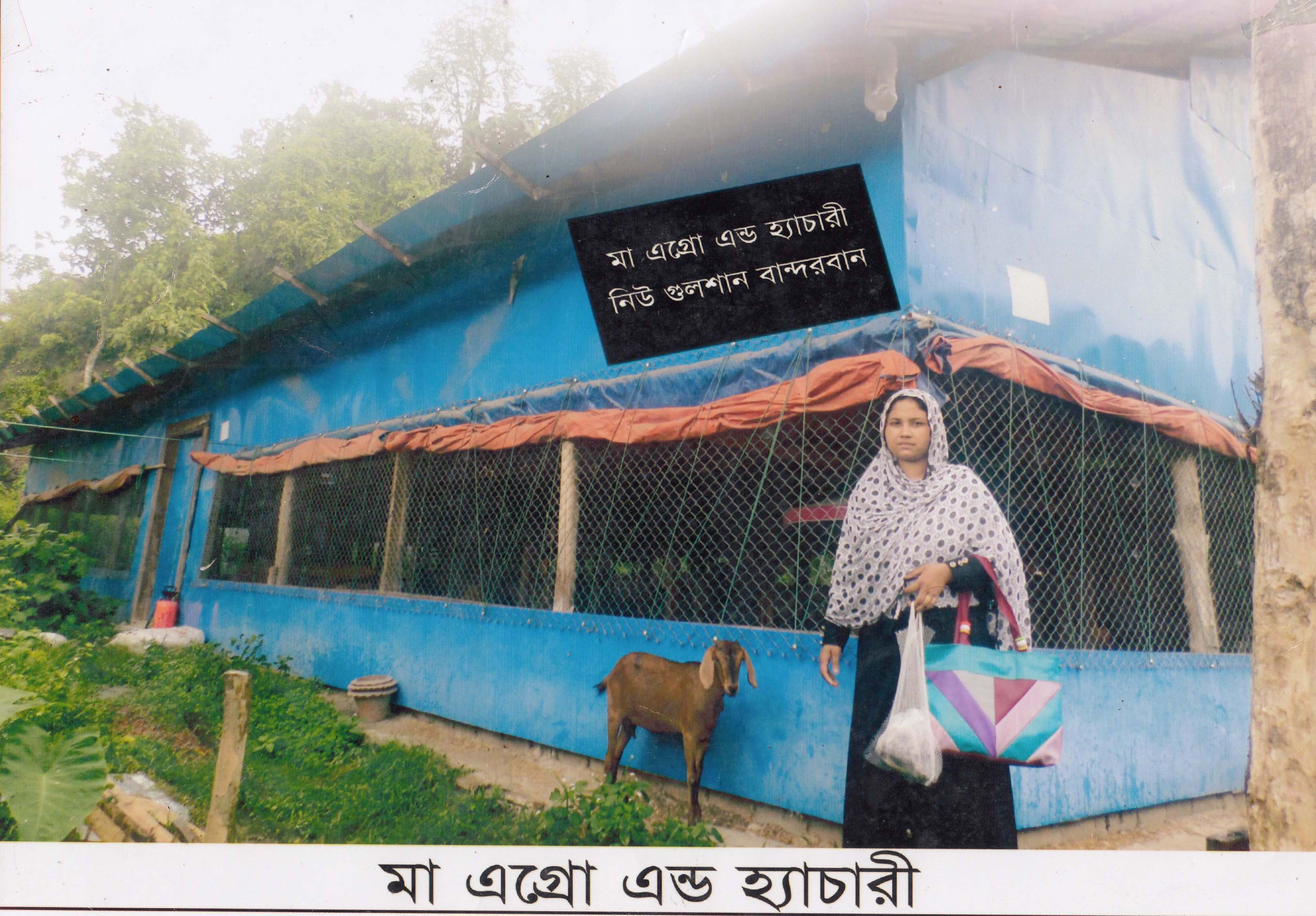 ই-সেবা কেন্দ্র, জেলা প্রশাসন