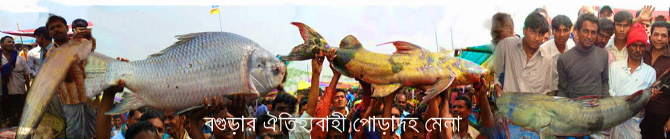 ব্যানার