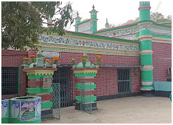 শৈলকুপা শাহী মসজিদ