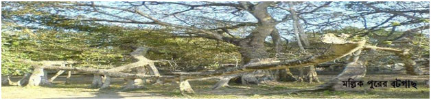 ঝিনাইদহ জেলার বিখ্যাত বটগাছ