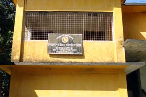 ফটো গ্যালারী