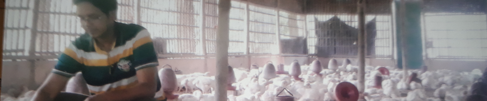 মোঃ মোস্তাফিজুর রহমান