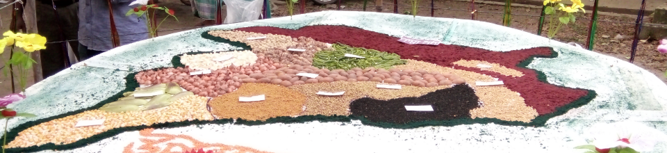 জাজিরা মানচিত্র-২